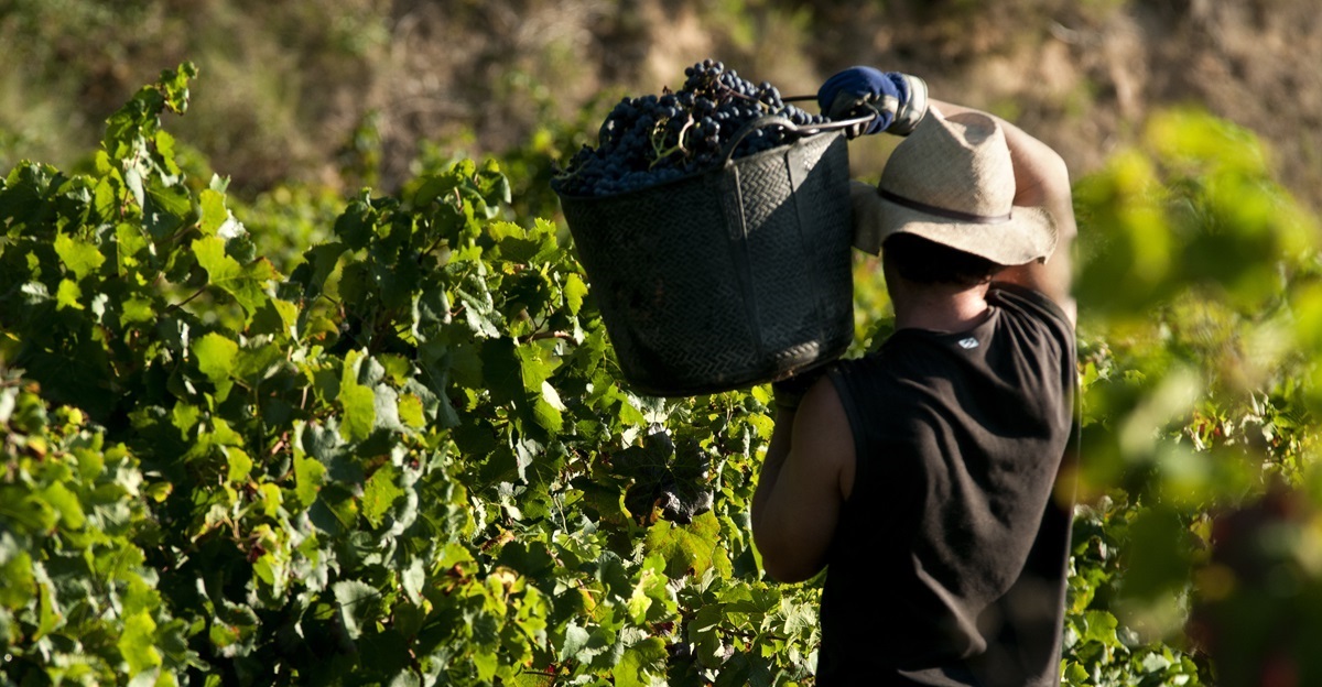 Agriculture Workers Compensation